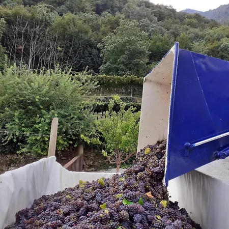 La Caigola Alloggio per agriturismo Ala